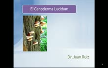 Ganoderma Lucidum.Dr Ruiz