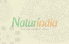 ¿Quién lidera Ayurveda Company?
